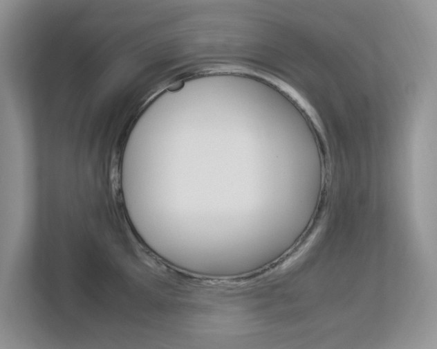 X0000112950905200908241024