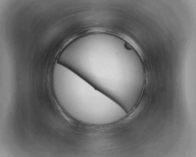 X0000112950906200908241024