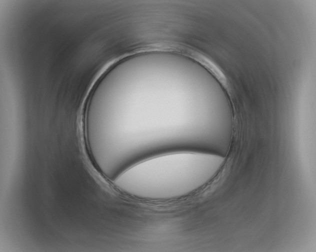 X0000112950907200908241024