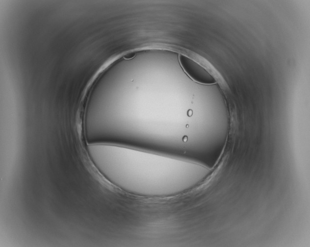 X0000112950908200908241024
