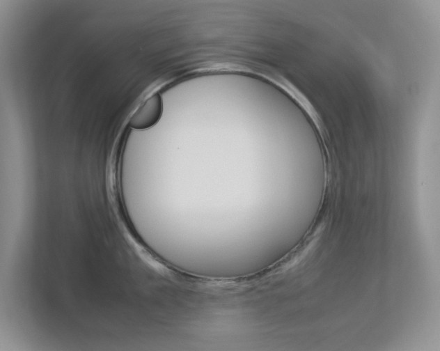 X0000112950909200908241024