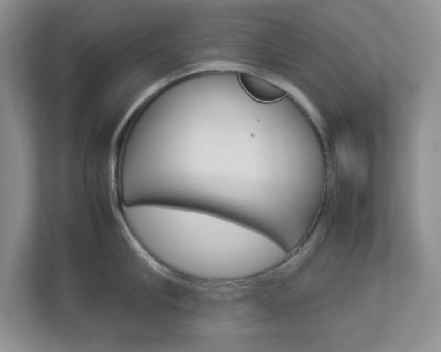 X0000112950910200908241024
