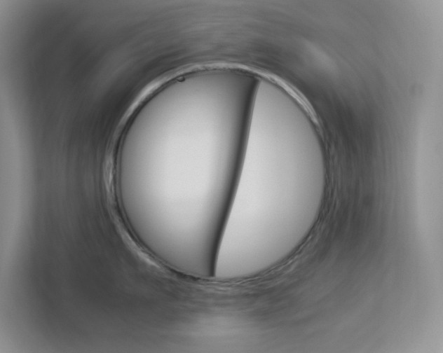 X0000112950911200908241024