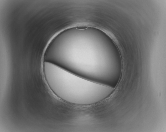 X0000112950912200908241024