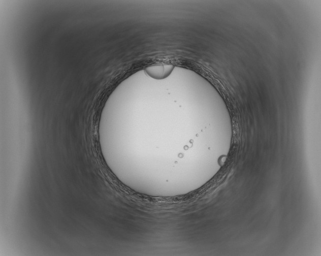 X0000112950913200908241024