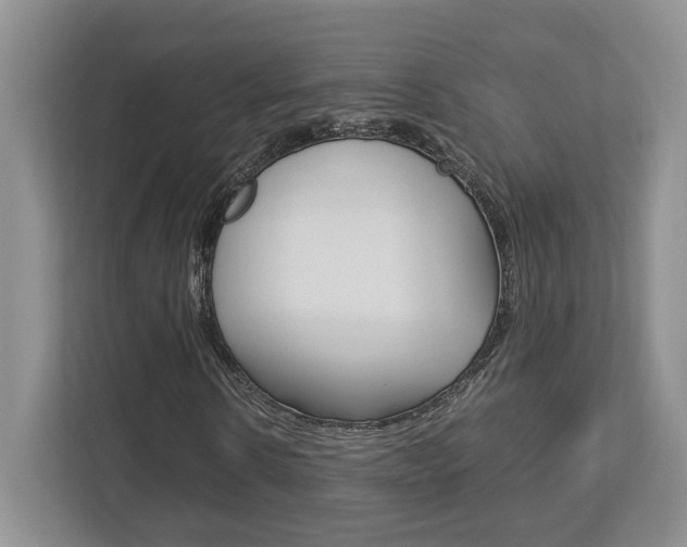 X0000112950914200908241024
