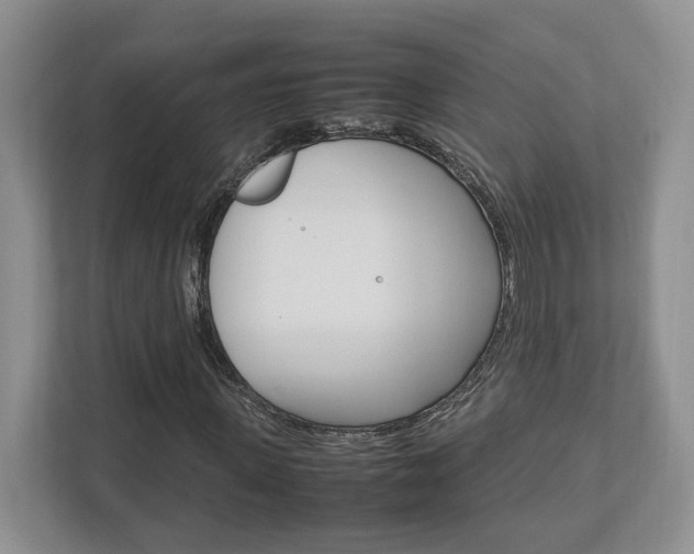 X0000112950915200908241024