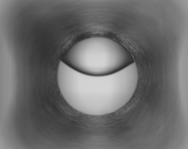 X0000112950916200908241024