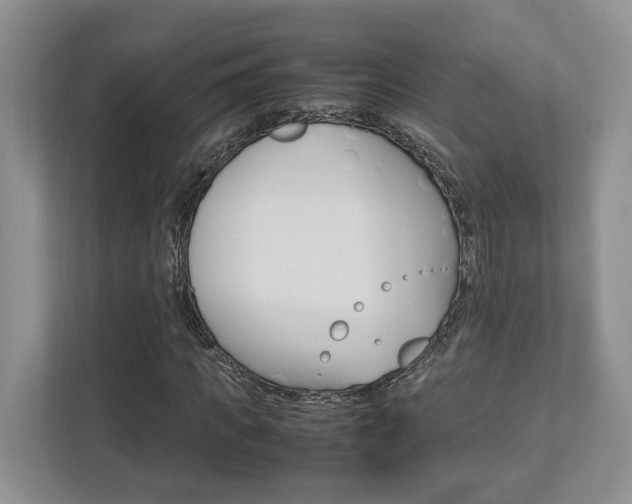 X0000112950917200908241024