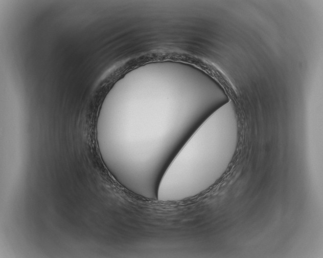 X0000112950919200908241024