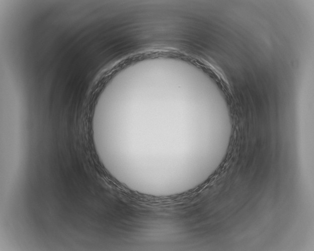 X0000112950920200908241024