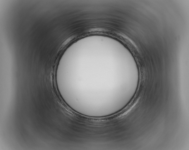 X0000112950921200908241024