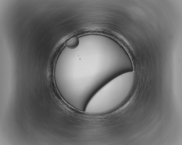 X0000112950922200908241024