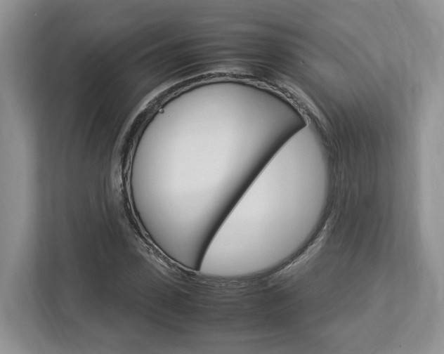 X0000112950923200908241024