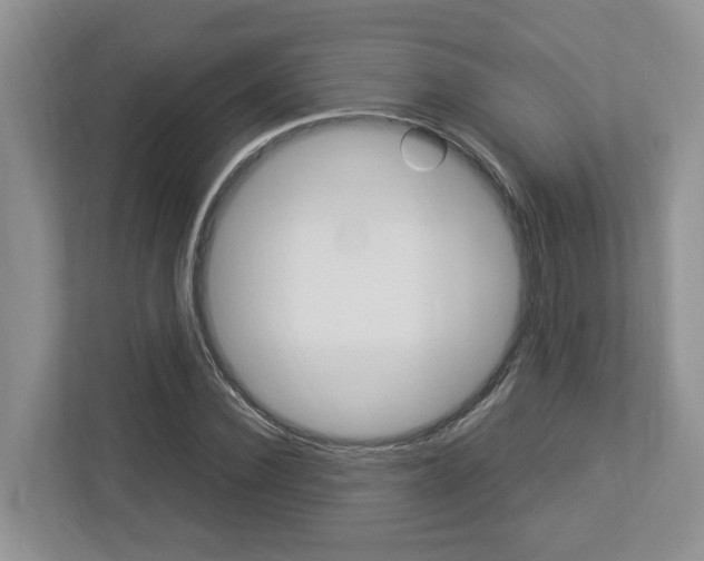 X0000112950924200908241024