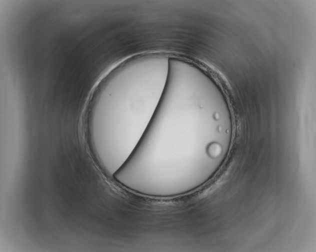 X0000112950925200908241024
