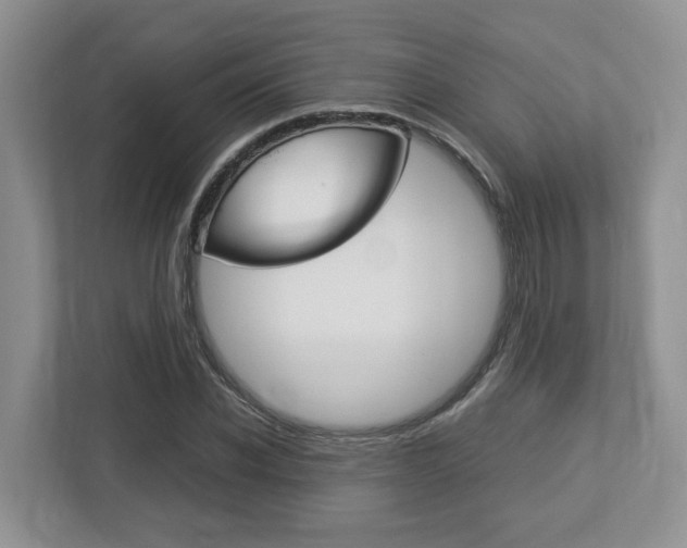 X0000112950926200908241024