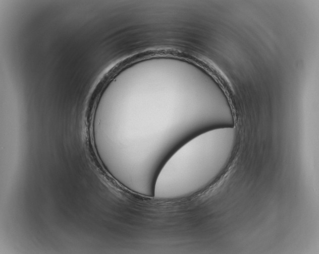 X0000112950927200908241024