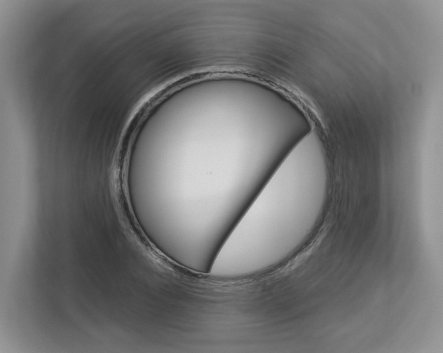 X0000112950928200908241024
