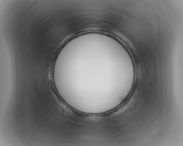 X0000112950929200908241024