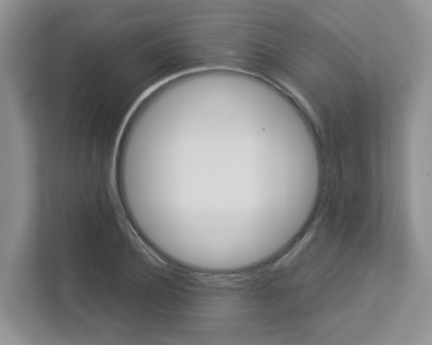 X0000112950932200908241024