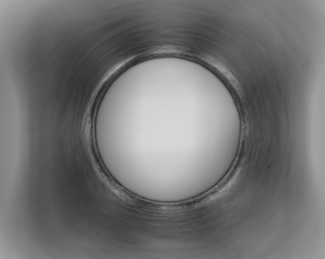 X0000112950933200908241024