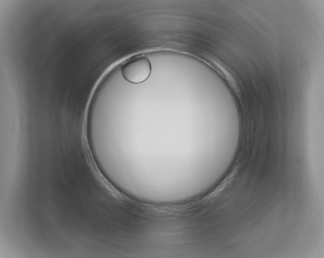 X0000112950940200908241024