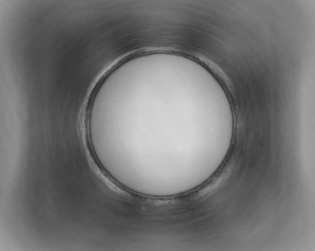 X0000112950941200908241024
