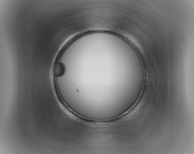X0000112950942200908241024