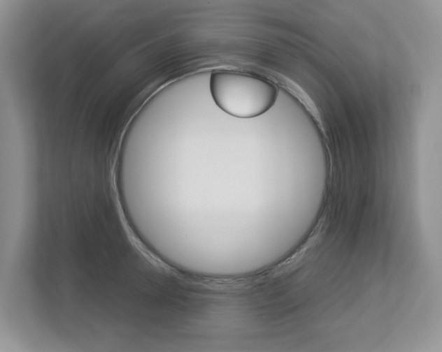 X0000112950946200908241024