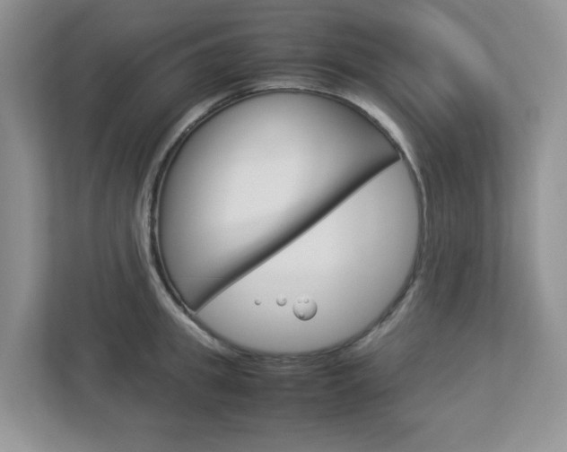 X0000112950949200908241024