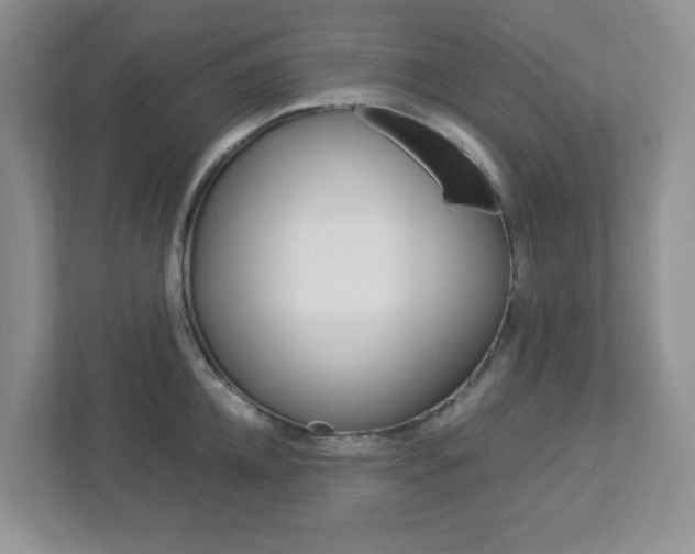 X0000112950952200908241024