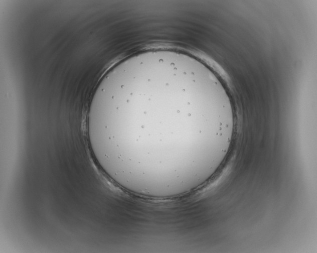 X0000112950953200908241024
