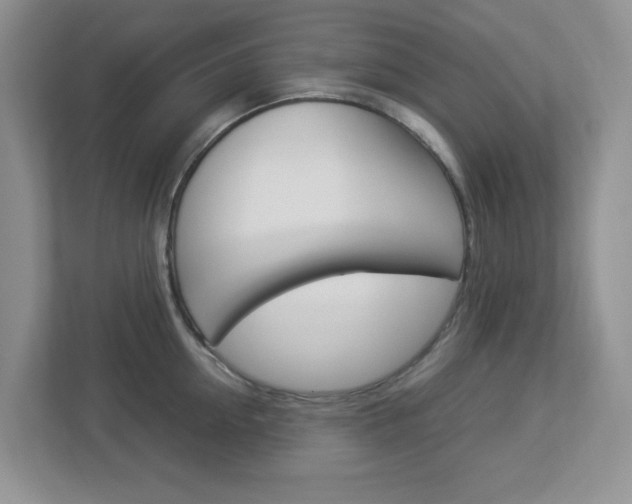 X0000112950954200908241024