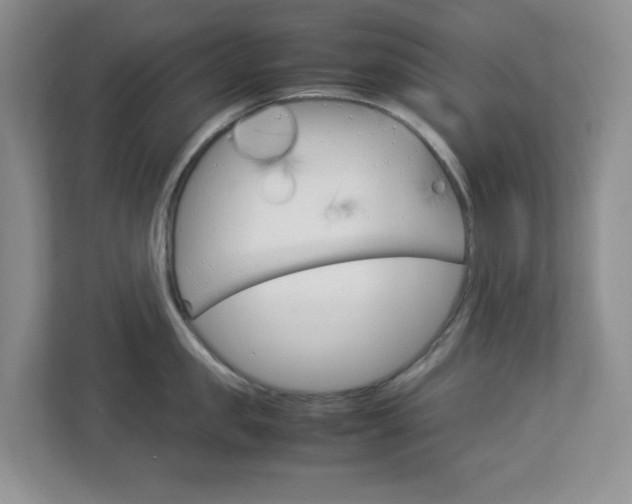 X0000112950957200908241024