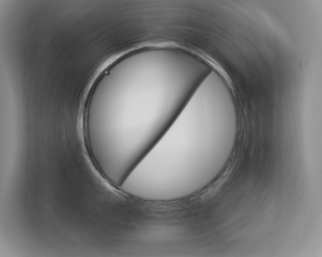 X0000112950959200908241024