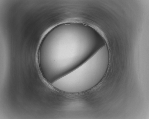X0000112950960200908241024