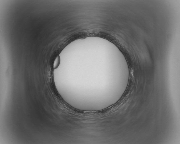 X0000112950963200908241024