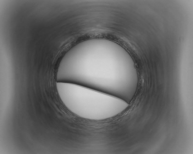 X0000112950964200908241024