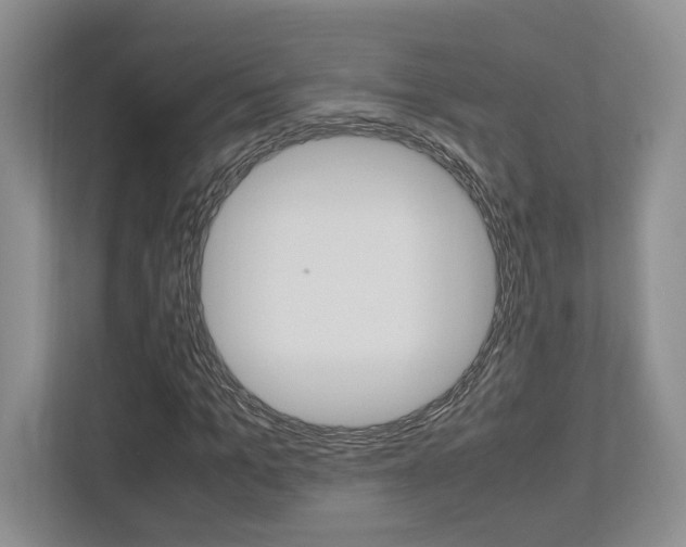 X0000112950965200908241024