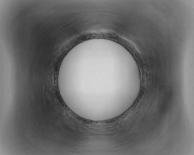 X0000112950966200908241024