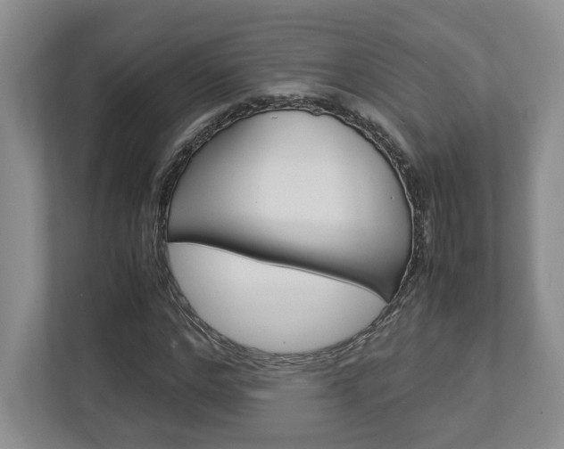 X0000112950968200908241023