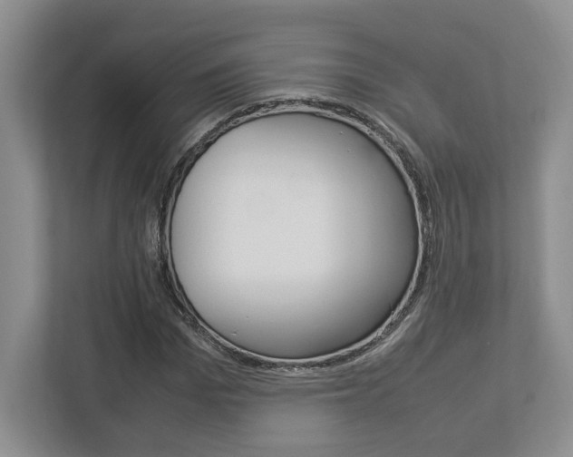 X0000112950969200908241023