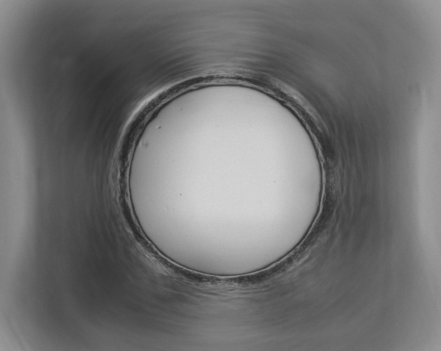 X0000112950971200908241023