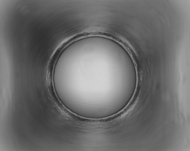 X0000112950973200908241023