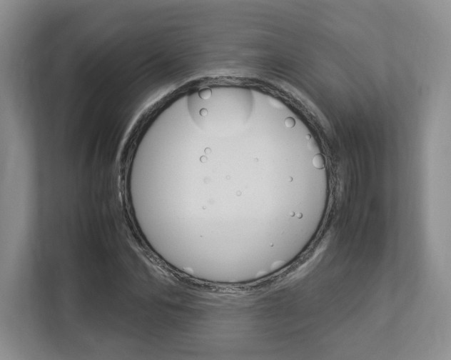 X0000112950974200908241023
