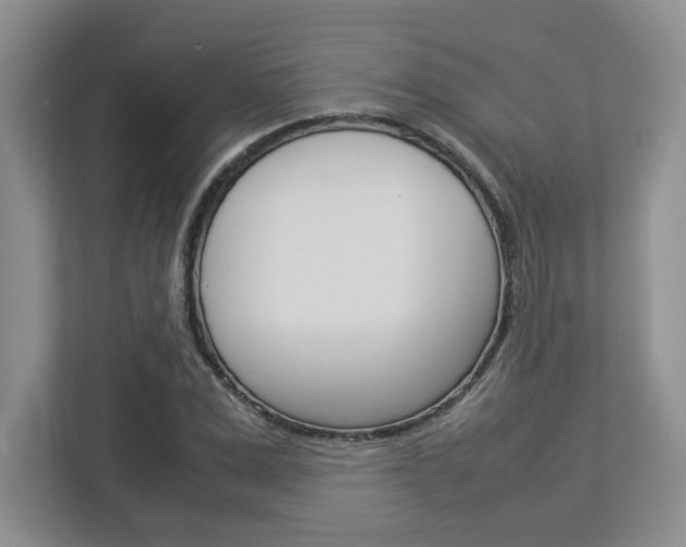 X0000112950975200908241023