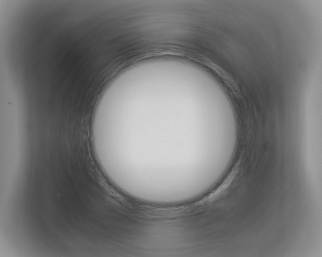 X0000112950977200908241023