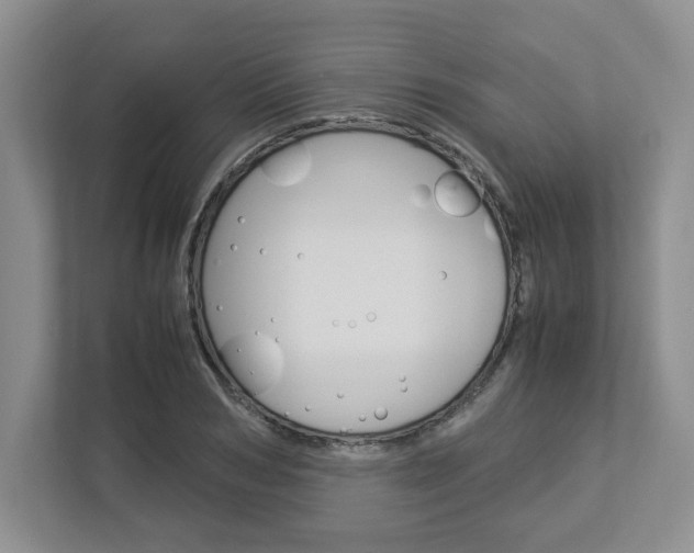 X0000112950978200908241023