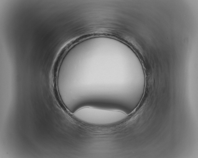X0000112950979200908241023